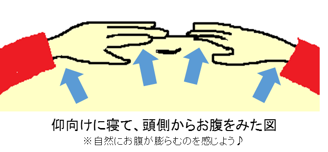 腹式呼吸のやり方は 家でも簡単に コツと感覚を掴む練習 わたなべまき Voice その声を信じて